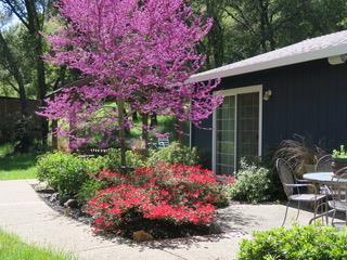 4460 Fawn Street Shingle Springs, CA 95682 - Photo 62 of 67