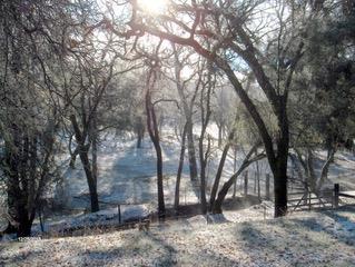 4460 Fawn Street Shingle Springs, CA 95682 - Photo 63 of 67
