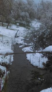 4460 Fawn Street Shingle Springs, CA 95682 - Photo 65 of 67