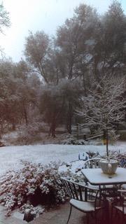 4460 Fawn Street Shingle Springs, CA 95682 - Photo 66 of 67