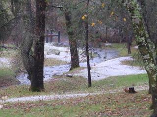4460 Fawn Street Shingle Springs, CA 95682 - Photo 67 of 67