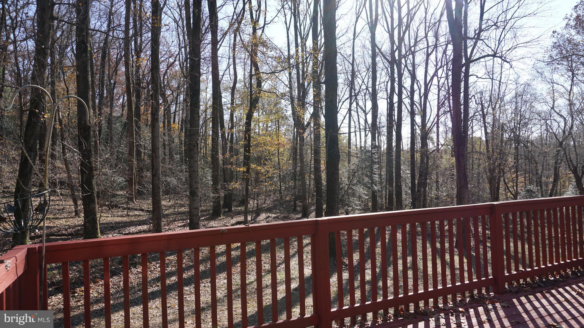 1270 Old Landing Road Accokeek, MD 20607 - Photo 40 of 48 a view of a wooden roof deck