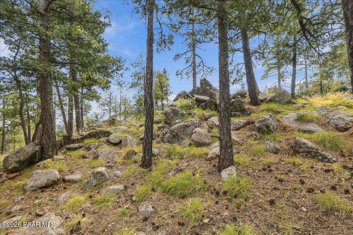 8250 South Snowdrift Mine Road Prescott, AZ 86303 - Photo 31 of 42 35-Backyard