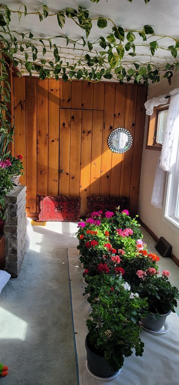 107 Hillview Road Clairton, PA 15025 - Photo 11 of 29 Gallery Image 11