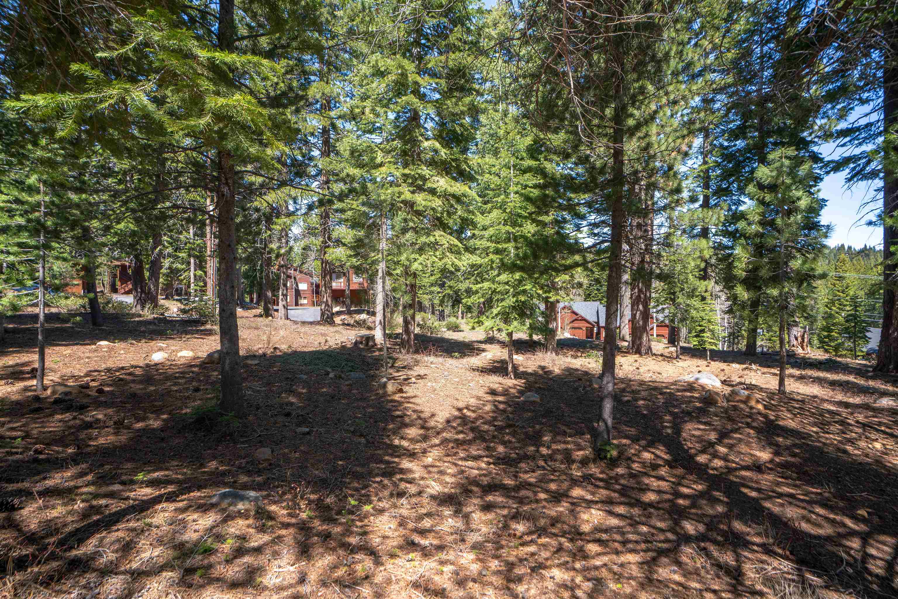 12815 Zurich Place Truckee, CA 96161 - Photo 8 of 11 a view of a tree in the middle of a yard