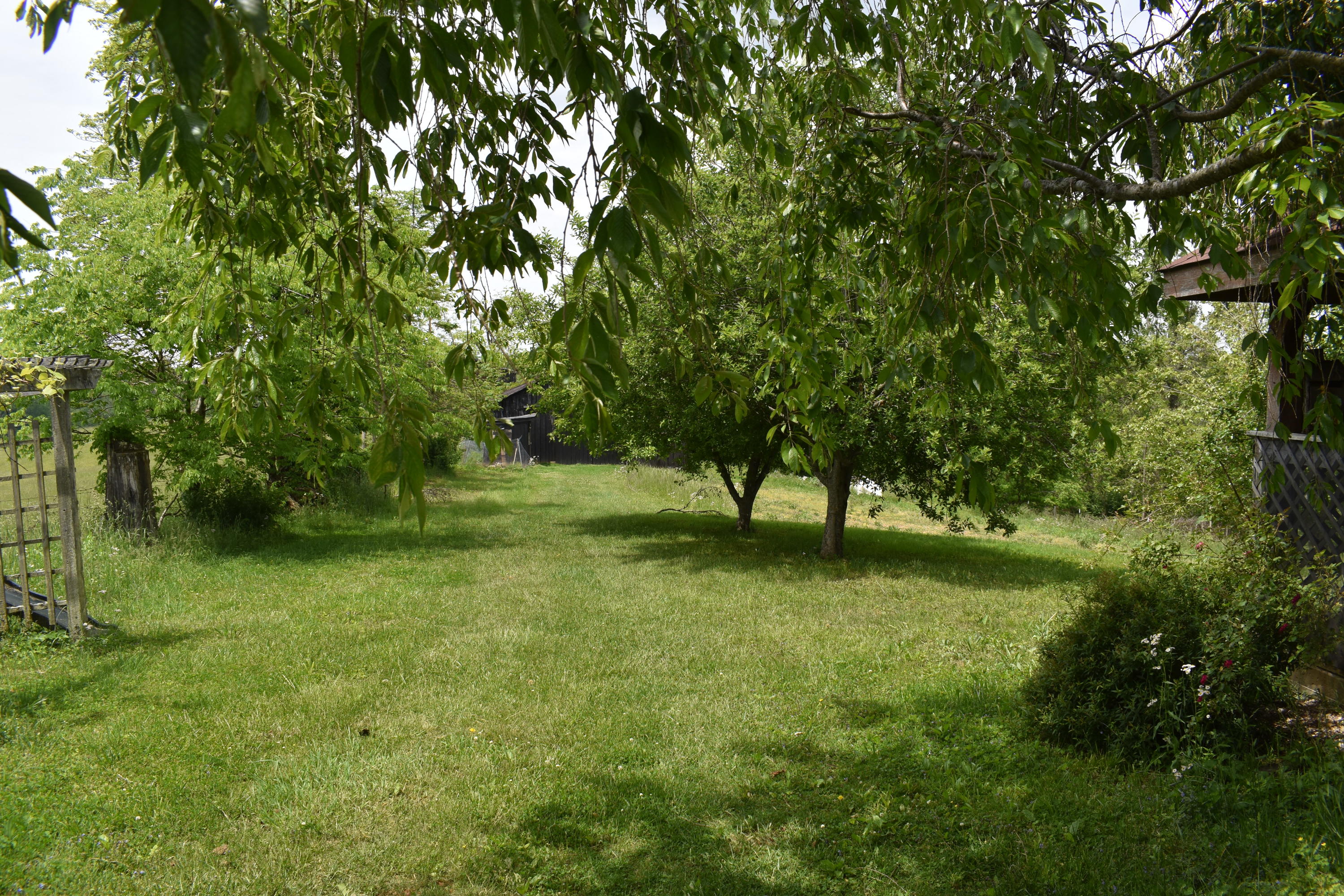 6309 Scaffold Cane Road Mount Vernon, KY 40456 - Photo 11 of 20 DSC_0044