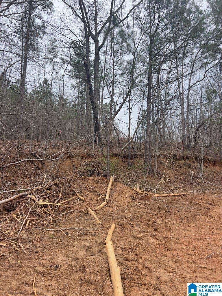 0 Ridley Upper Road Heflin, AL 36264 - Photo 1 of 2