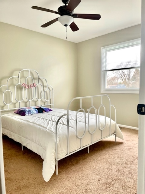 362 Amy Court Naperville, IL 60565 - Photo 18 of 20