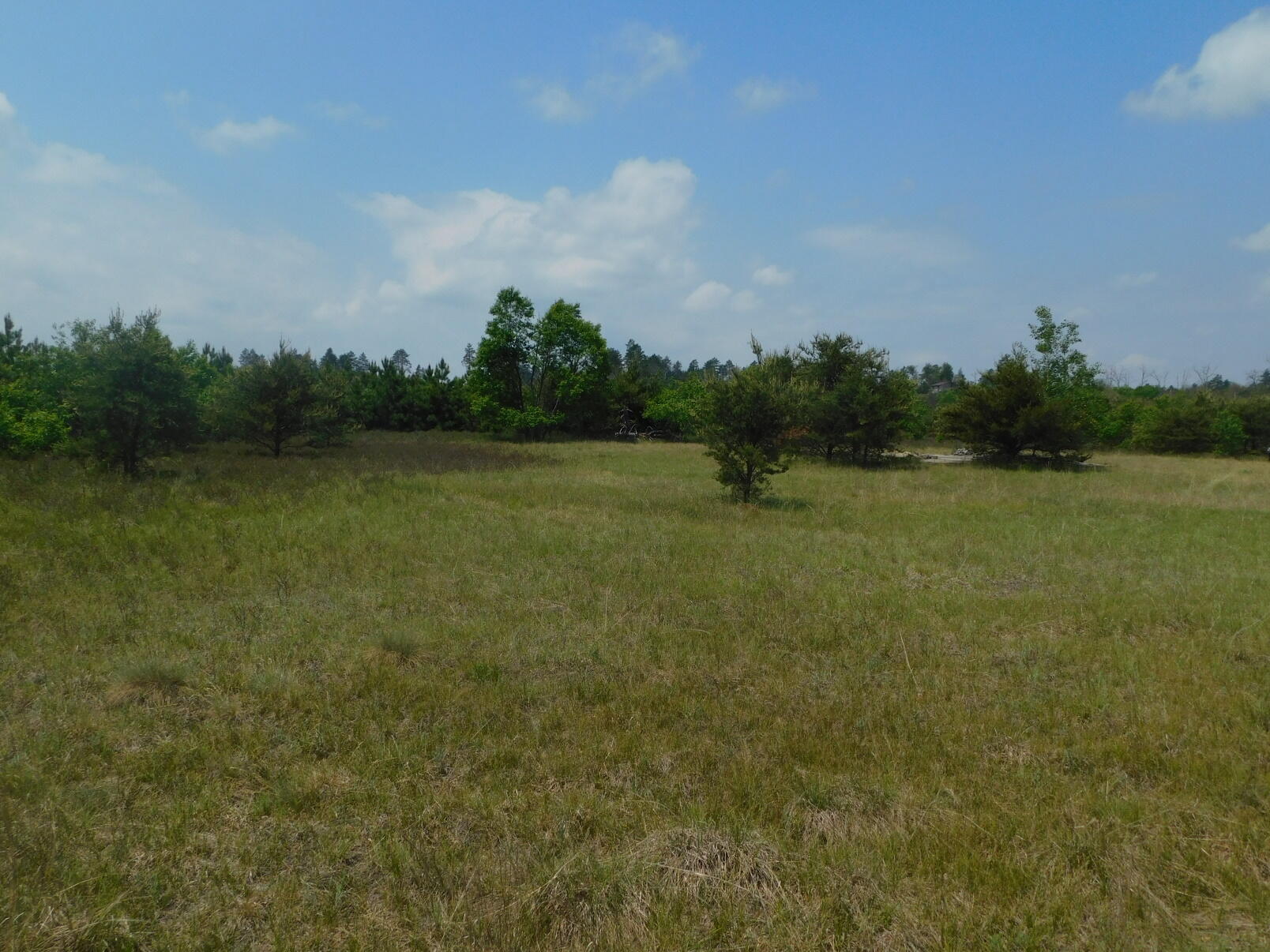 2001 East Hughes Lake Road Rose City, MI 48654 - Photo 8 of 10 Gallery Image 8