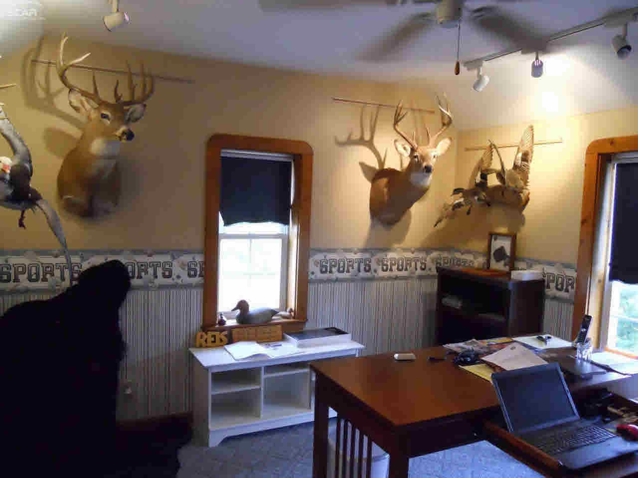 8201 Vassar Road Millington, MI 48746 - Photo 23 of 45 21350739-22.JPG