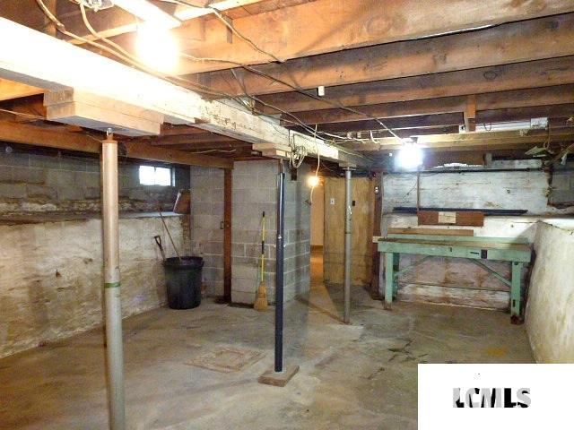 607 Decatur Street Lincoln, IL 62656 - Photo 19 of 24 Gallery Image 19