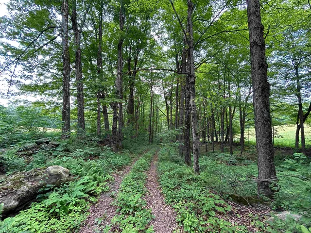 $925,000 | 6036 Jacksonville Stage Road, Halifax, VT 05358