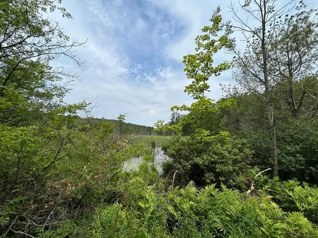 $925,000 | 6036 Jacksonville Stage Road, Halifax, VT 05358