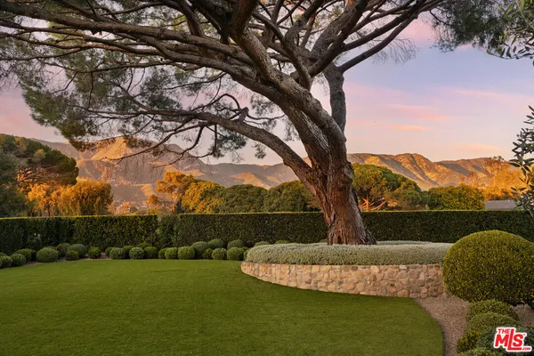 a view of a garden with a large tree