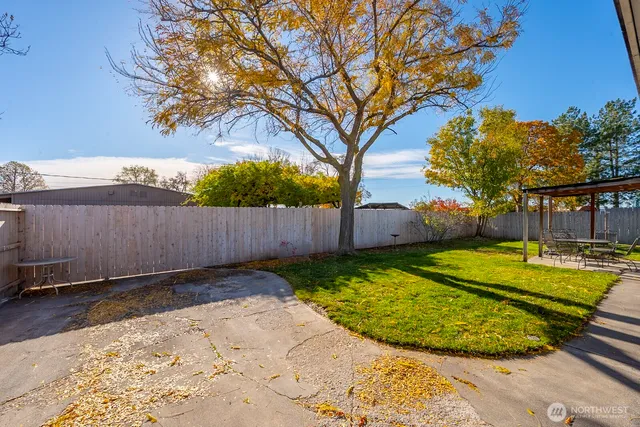 a view of a backyard