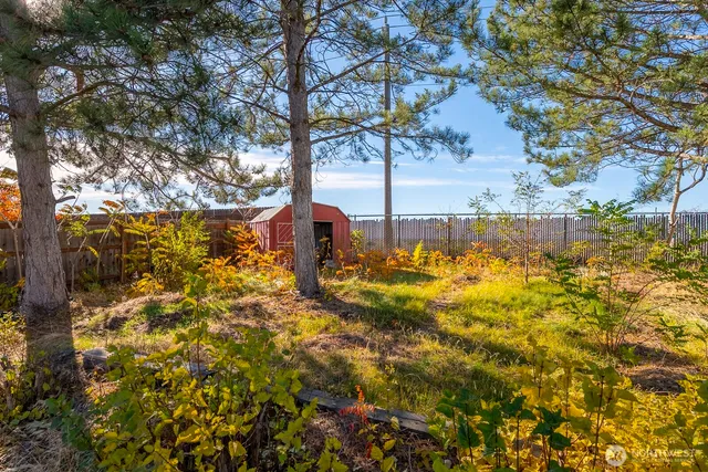 a view of a yard with an trees