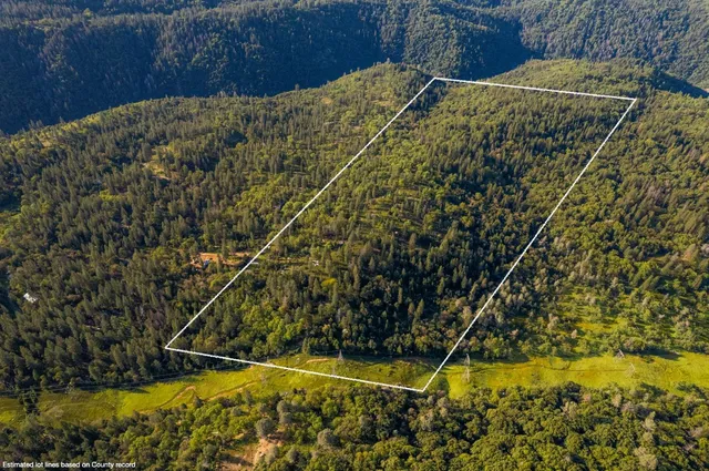 a view of a yard with wooden fence