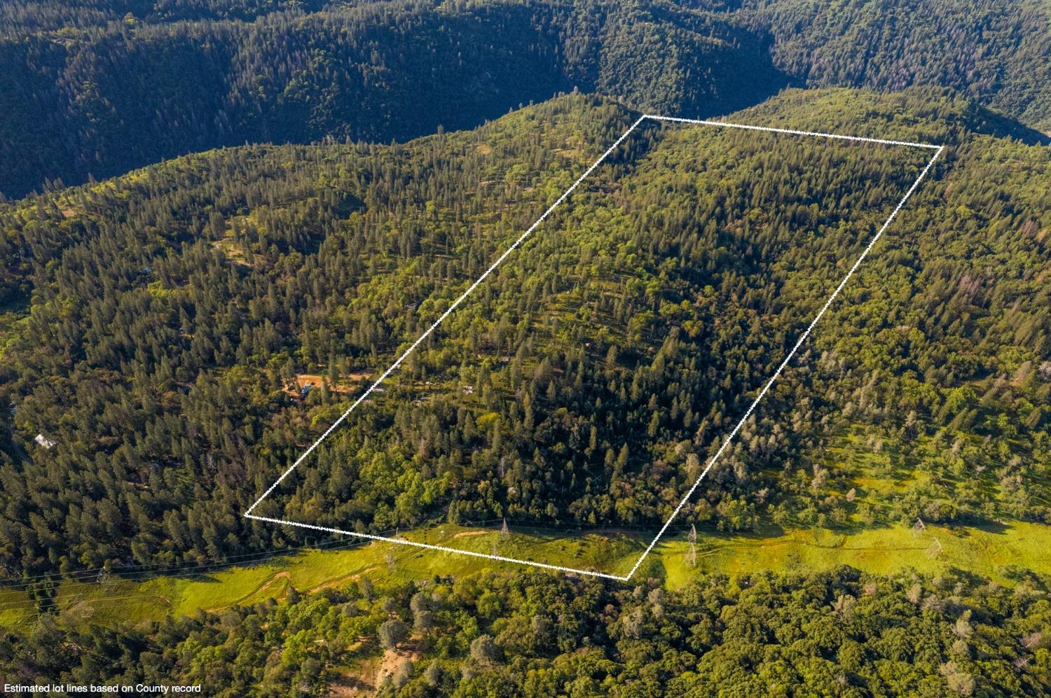 a view of a yard with wooden fence