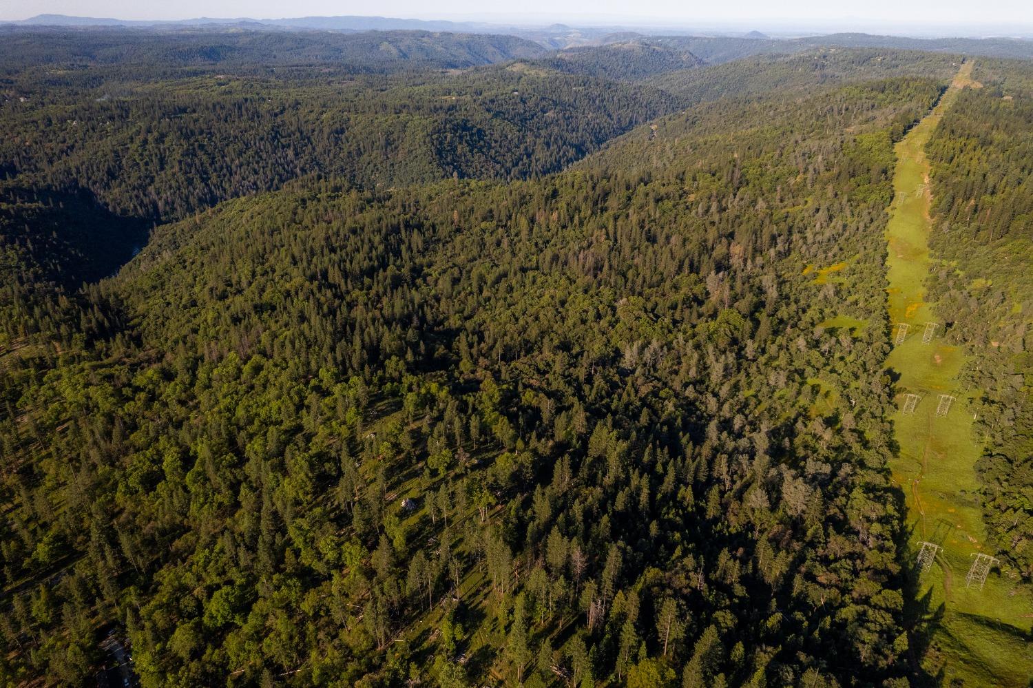 15793 Black Prince Road Pioneer, CA 95666 - Photo 11 of 11 a view of a lush green field with mountains in the background