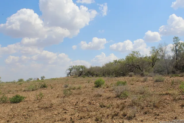 a view of a big yard