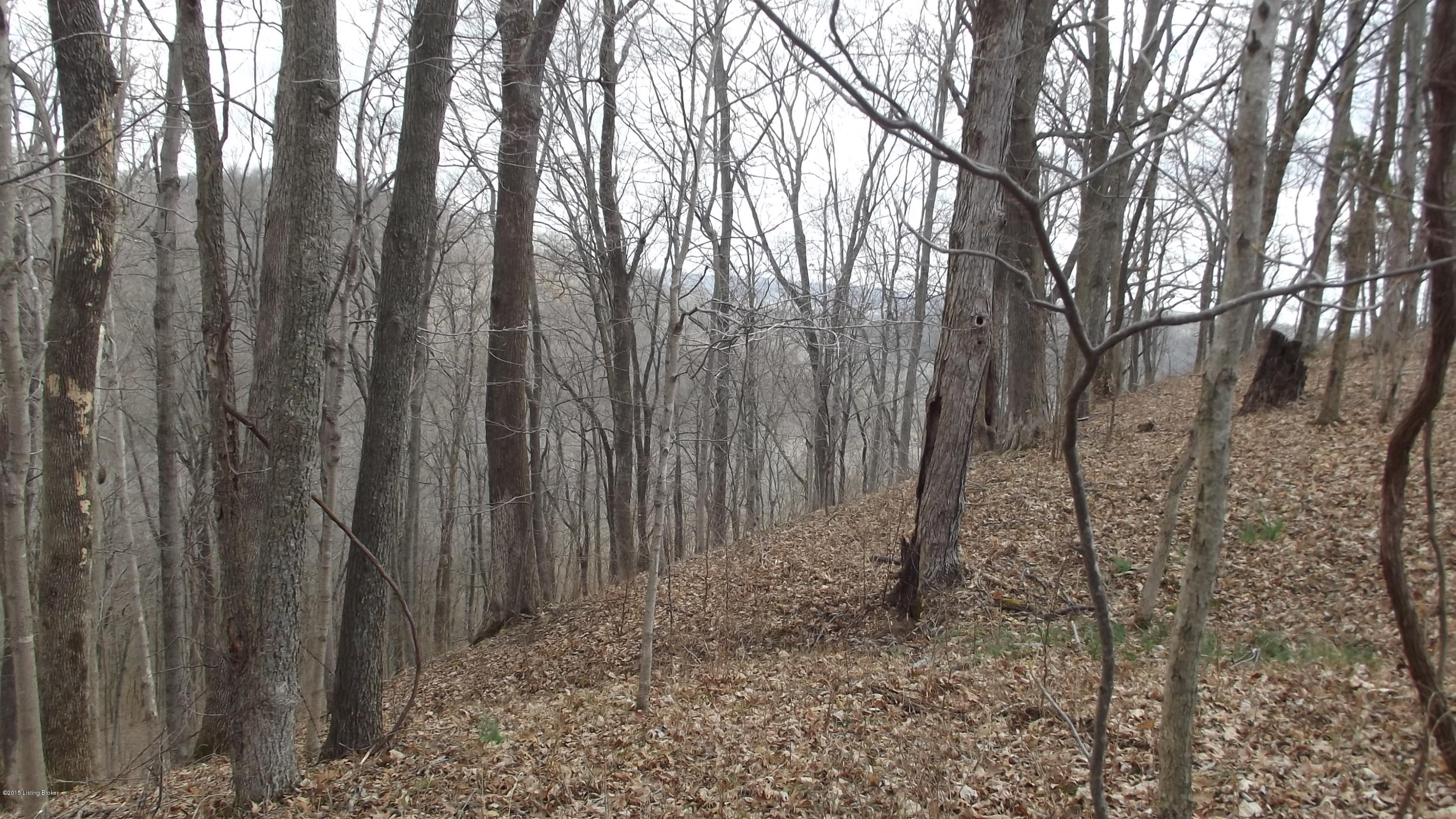 1138 Cane Run Road Turners Station, KY 40075 - Photo 14 of 16 DSCF4844.JPG