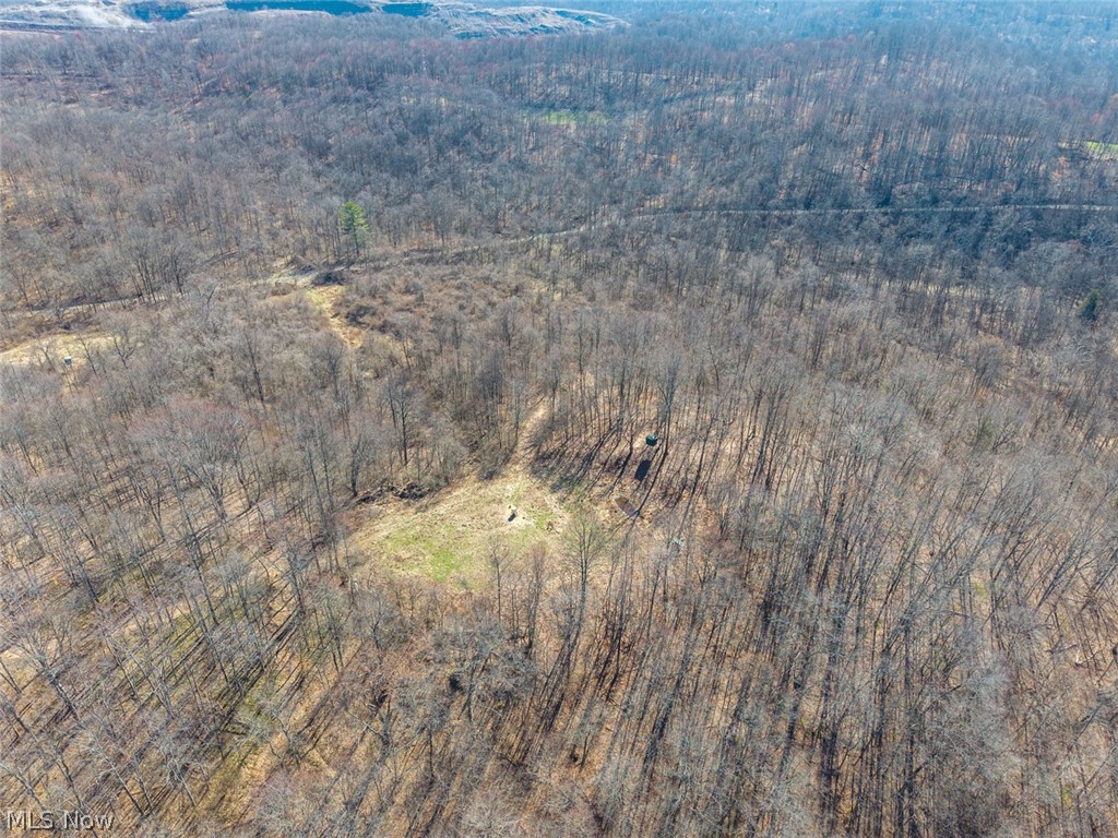 0 Clem Garvin Road Caldwell, OH 43724 - Photo 10 of 50 Drone / aerial view of a heavily wooded area