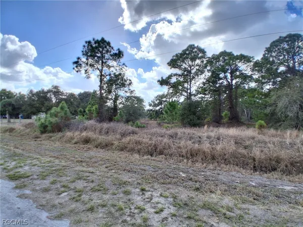 a view of a field with trees in background