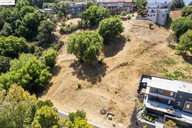 a view of a yard with plants and large trees