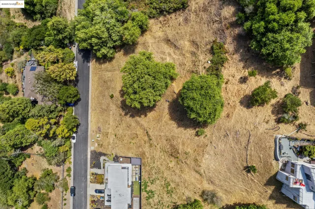 a picture of flowers