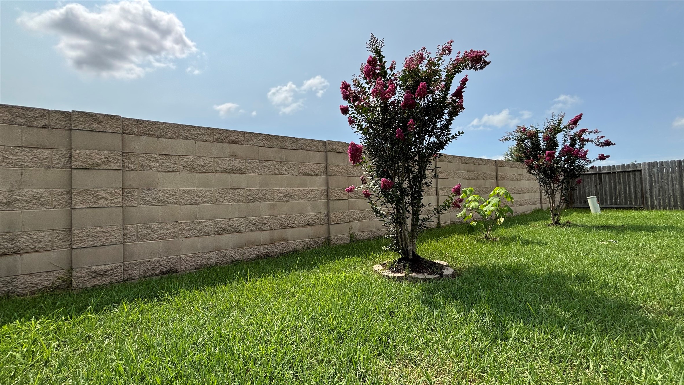 9810 Shimmering Lakes Drive Rosharon, TX 77583 - Photo 32 of 43