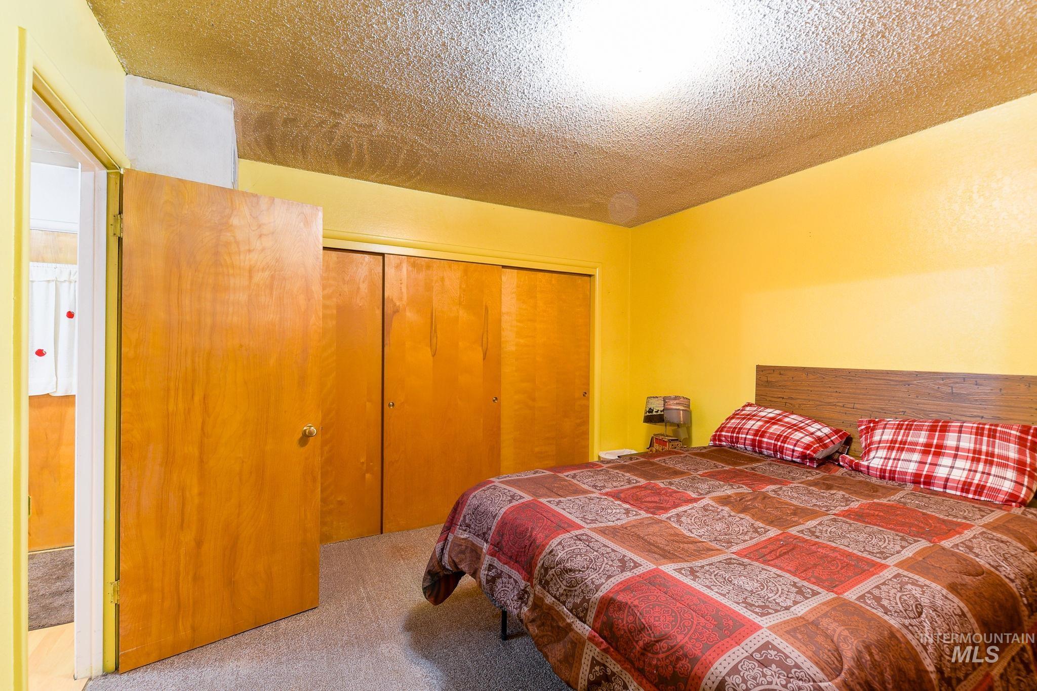 243 North Fir Street Genesee, ID 83832 - Photo 24 of 50 Bedroom featuring light carpet, a textured ceiling, and a closet
