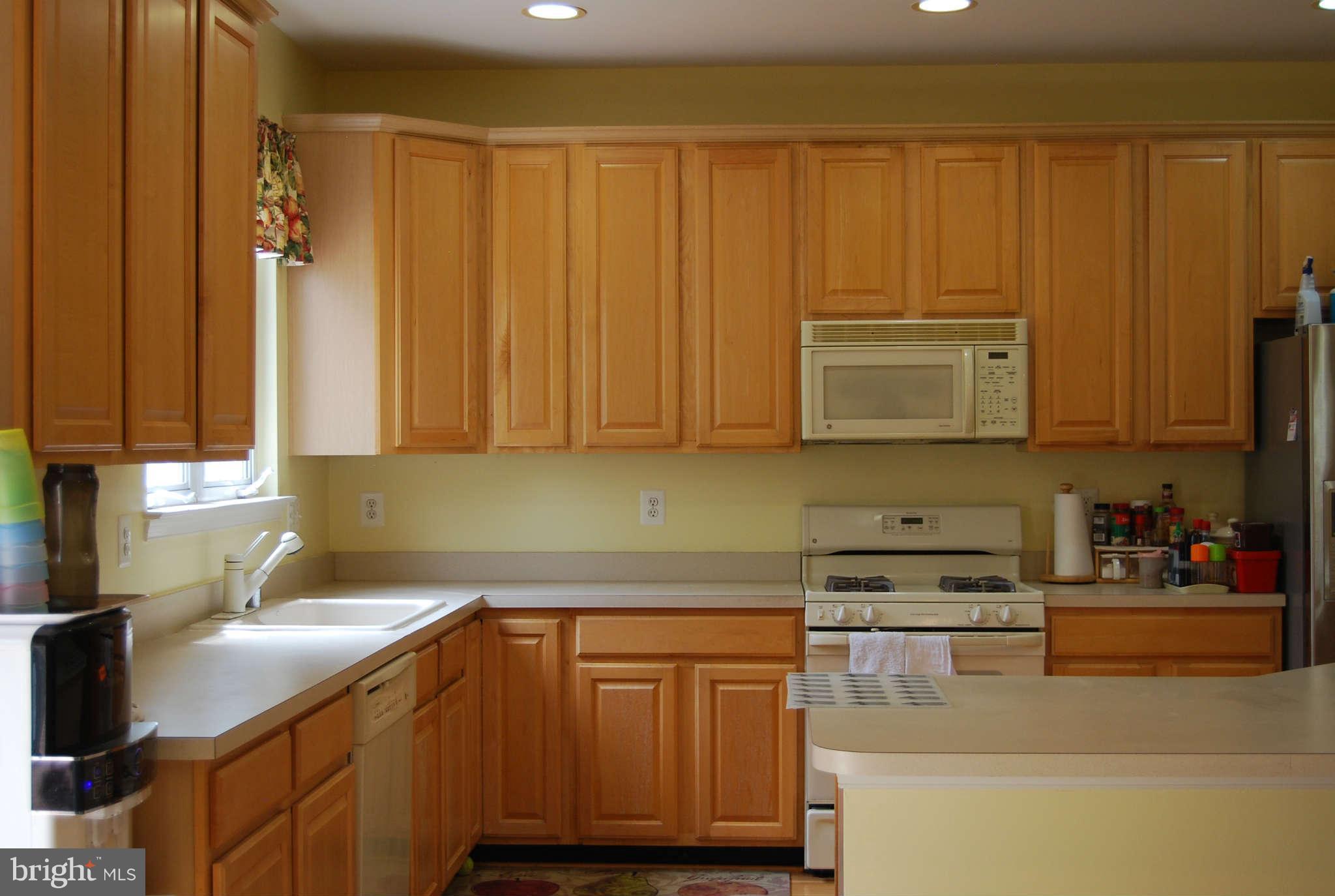 21484 Tamarack Ridge Square Sterling, VA 20164 - Photo 2 of 15 Kitchen