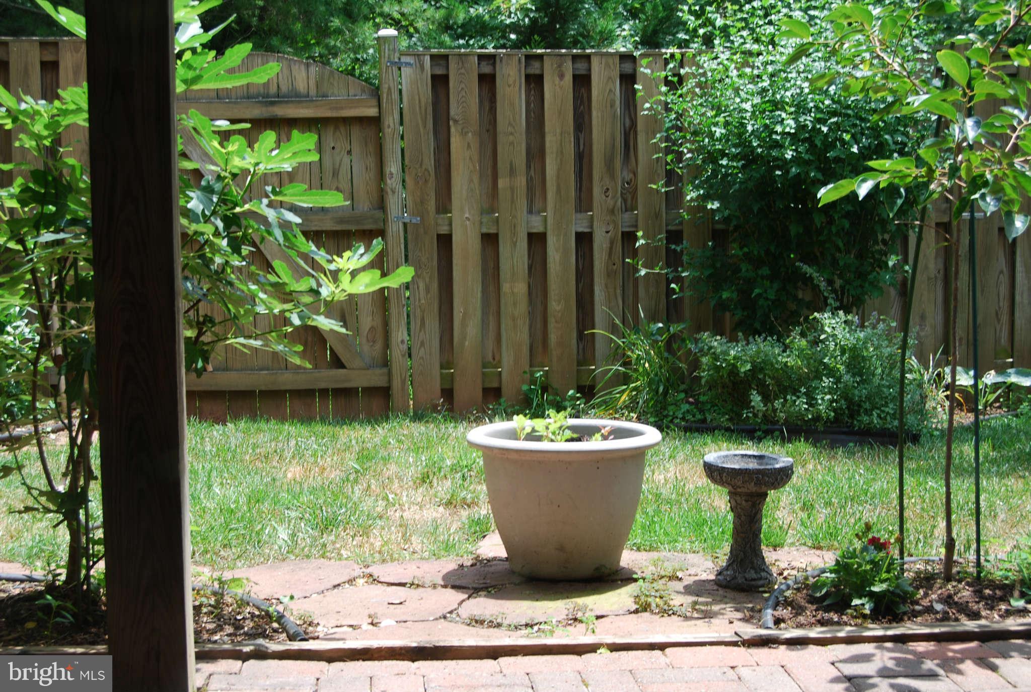 21484 Tamarack Ridge Square Sterling, VA 20164 - Photo 15 of 15 Backyard