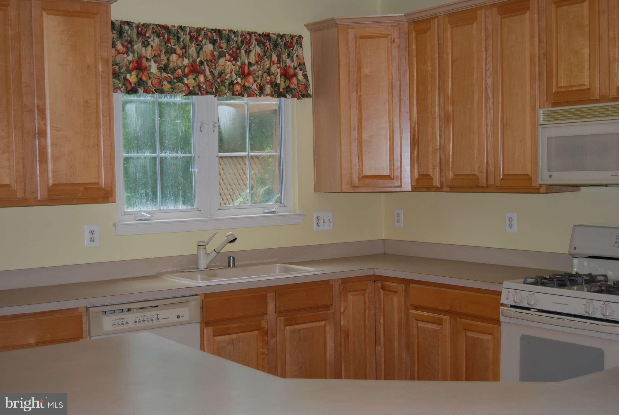 21484 Tamarack Ridge Square Sterling, VA 20164 - Photo 3 of 15 Kitchen