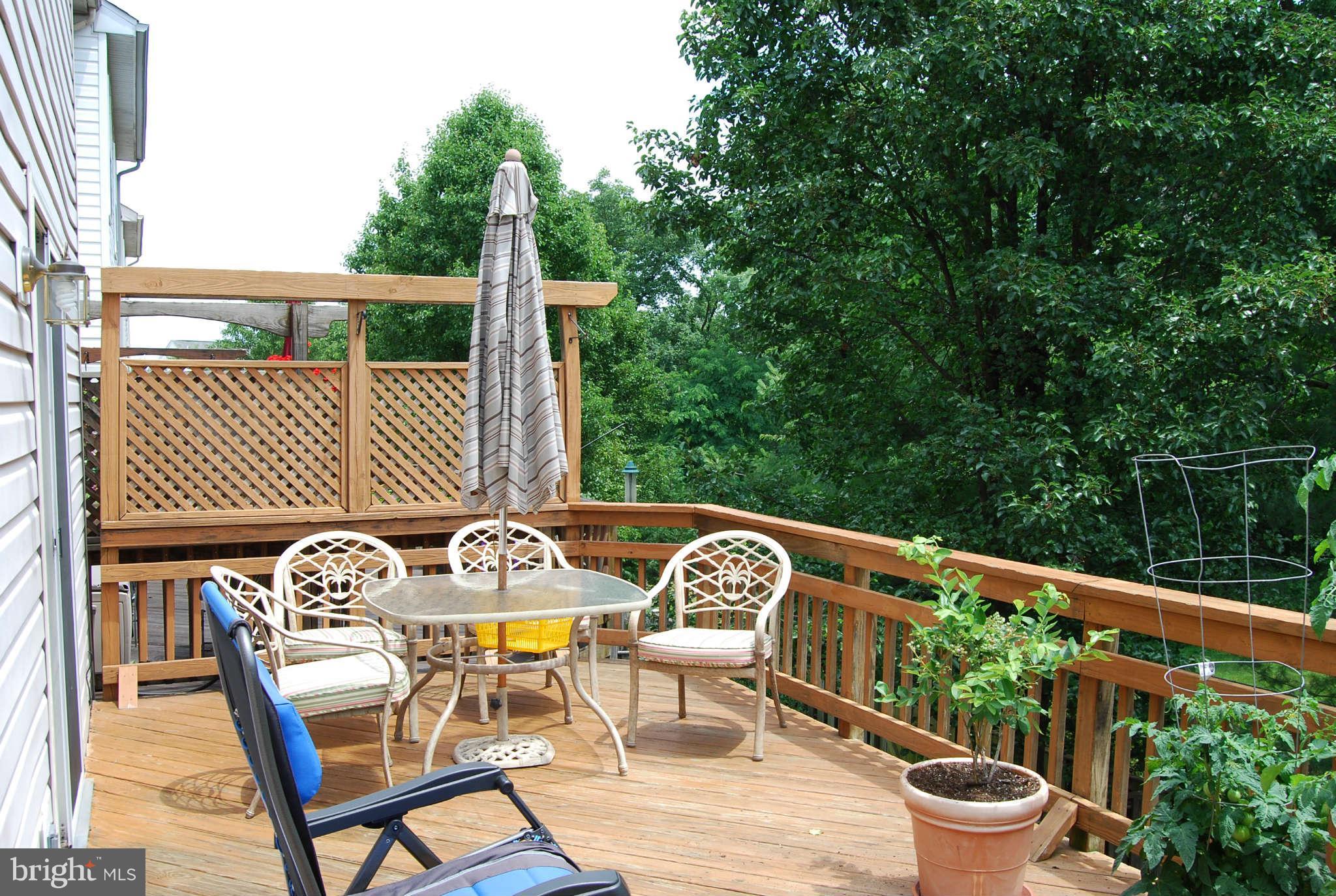 21484 Tamarack Ridge Square Sterling, VA 20164 - Photo 5 of 15 Deck