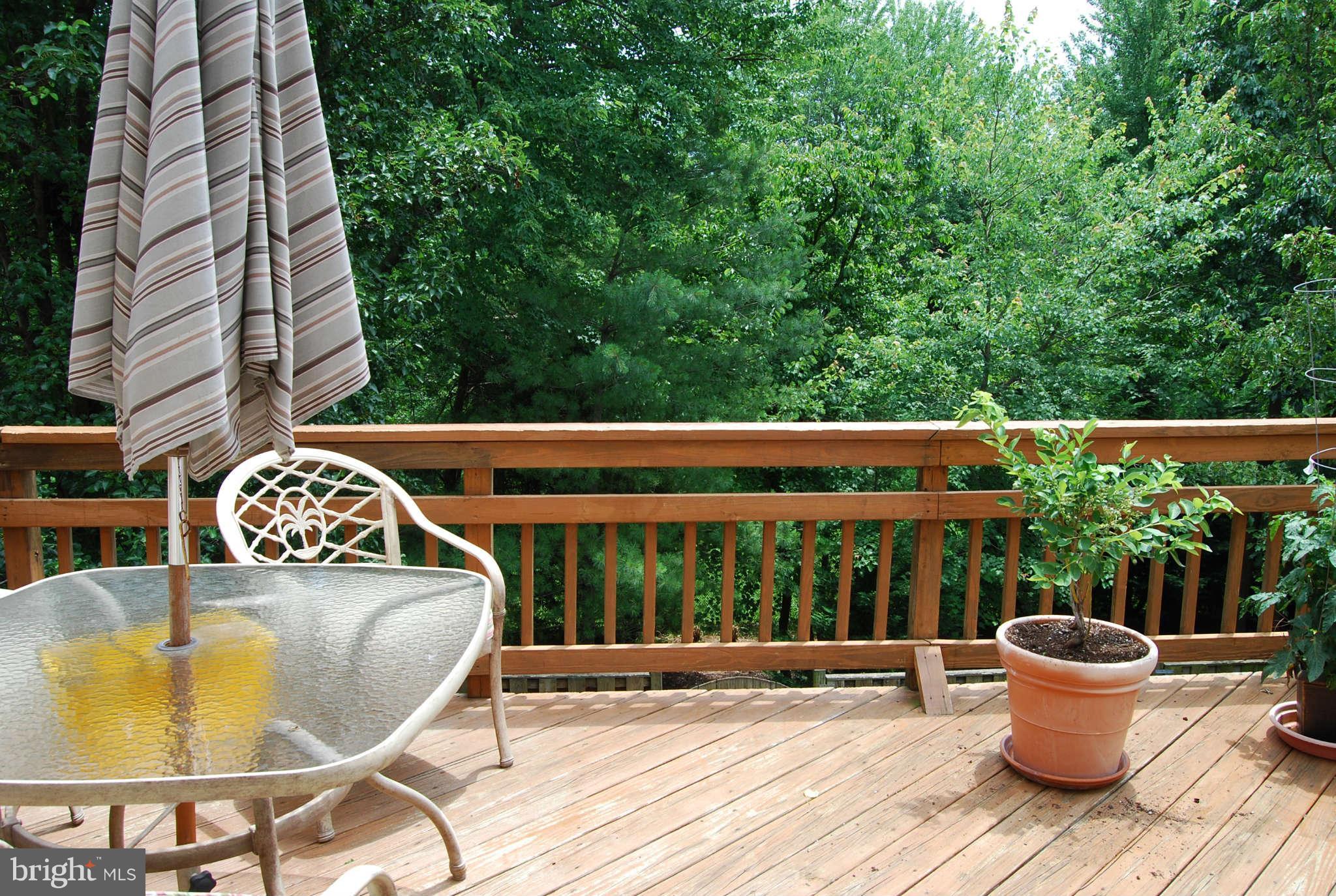 21484 Tamarack Ridge Square Sterling, VA 20164 - Photo 6 of 15 Deck