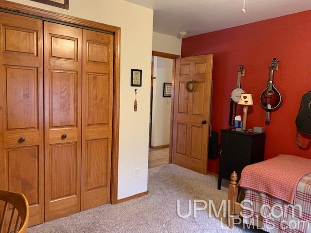 111 Panick Road Iron River, MI 49935 - Photo 22 of 49