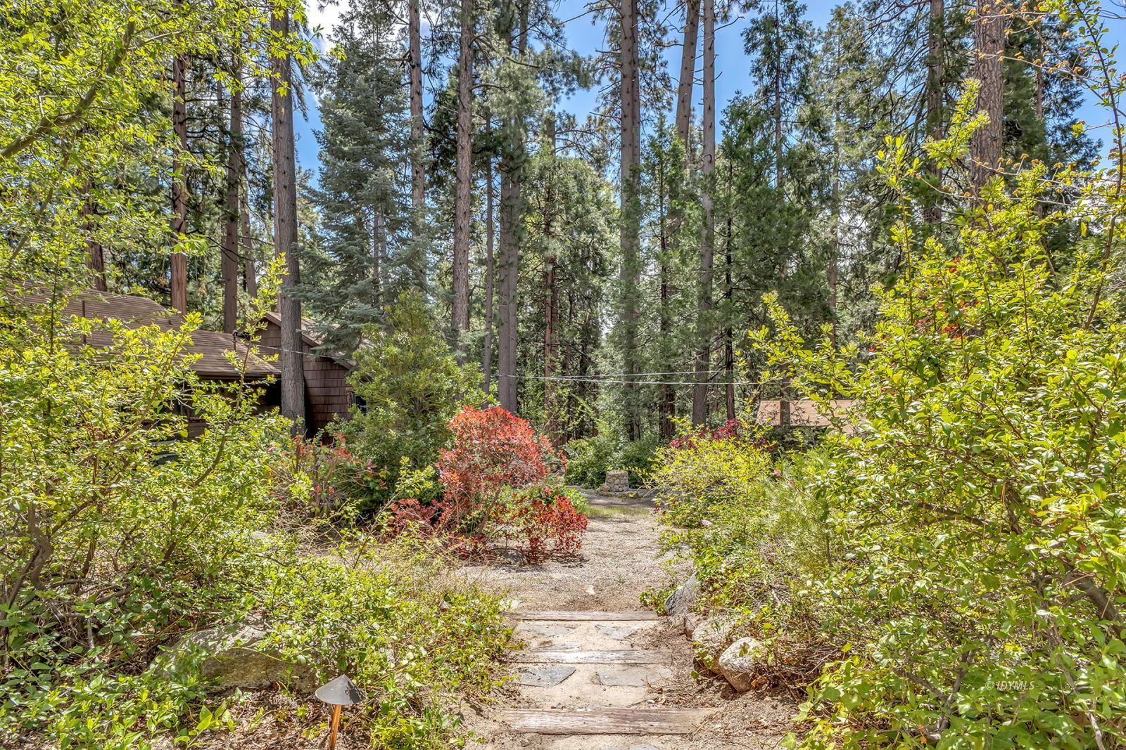 25100 Indian Rock Road Idyllwild, CA 92549 - Photo 62 of 75 a aerial view of a house with a yard