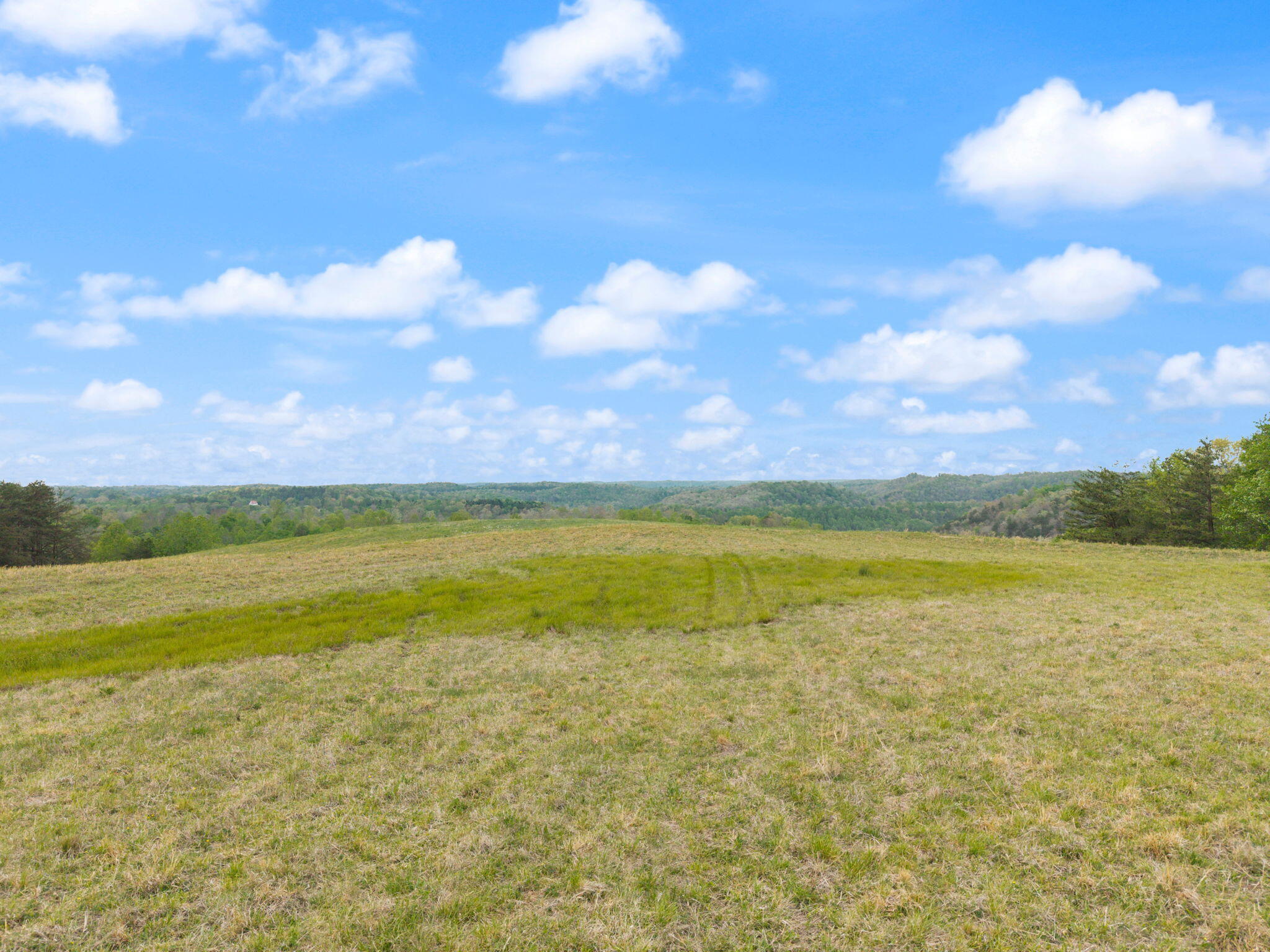 371 Big Branch Road Beattyville, KY 41311 - Photo 6 of 52 48-web-or-mls-DJI_20260416170209_0162_D