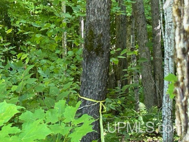 16 16 Mile Lake Road Munising, MI 49862 - Photo 6 of 8