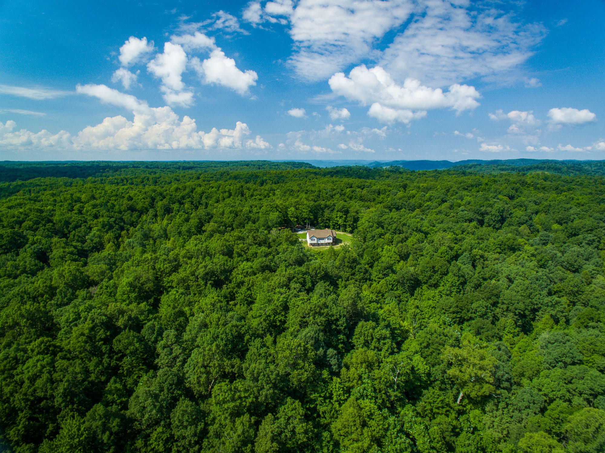316 Sawmill Ridge Road Jamestown, TN 38556 - Photo 5 of 40 Gallery Image 5