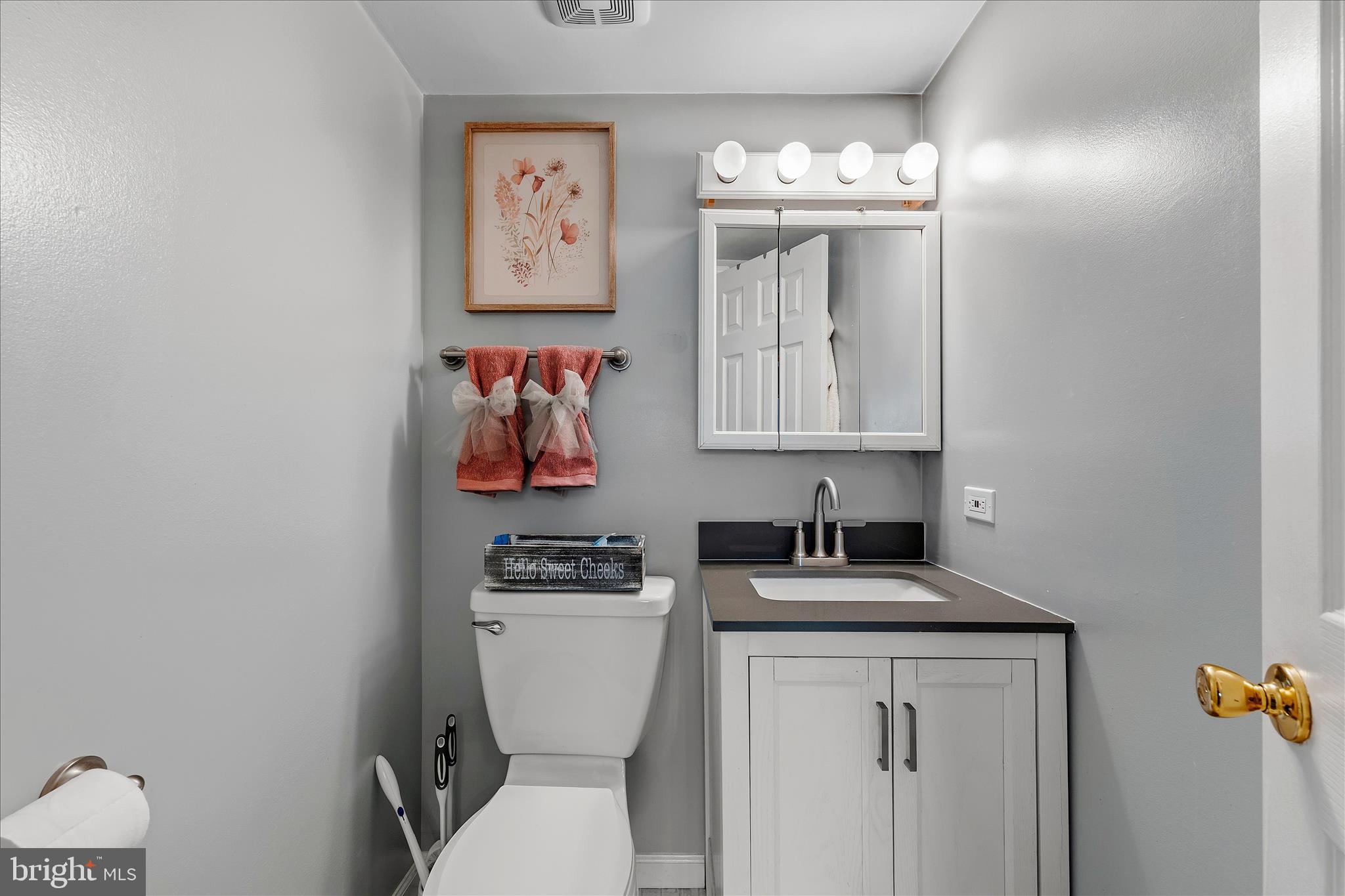 11334 Cherry Hill Road, Unit 2J20 Beltsville, MD 20705 - Photo 17 of 39 a bathroom with a toilet a sink and mirror