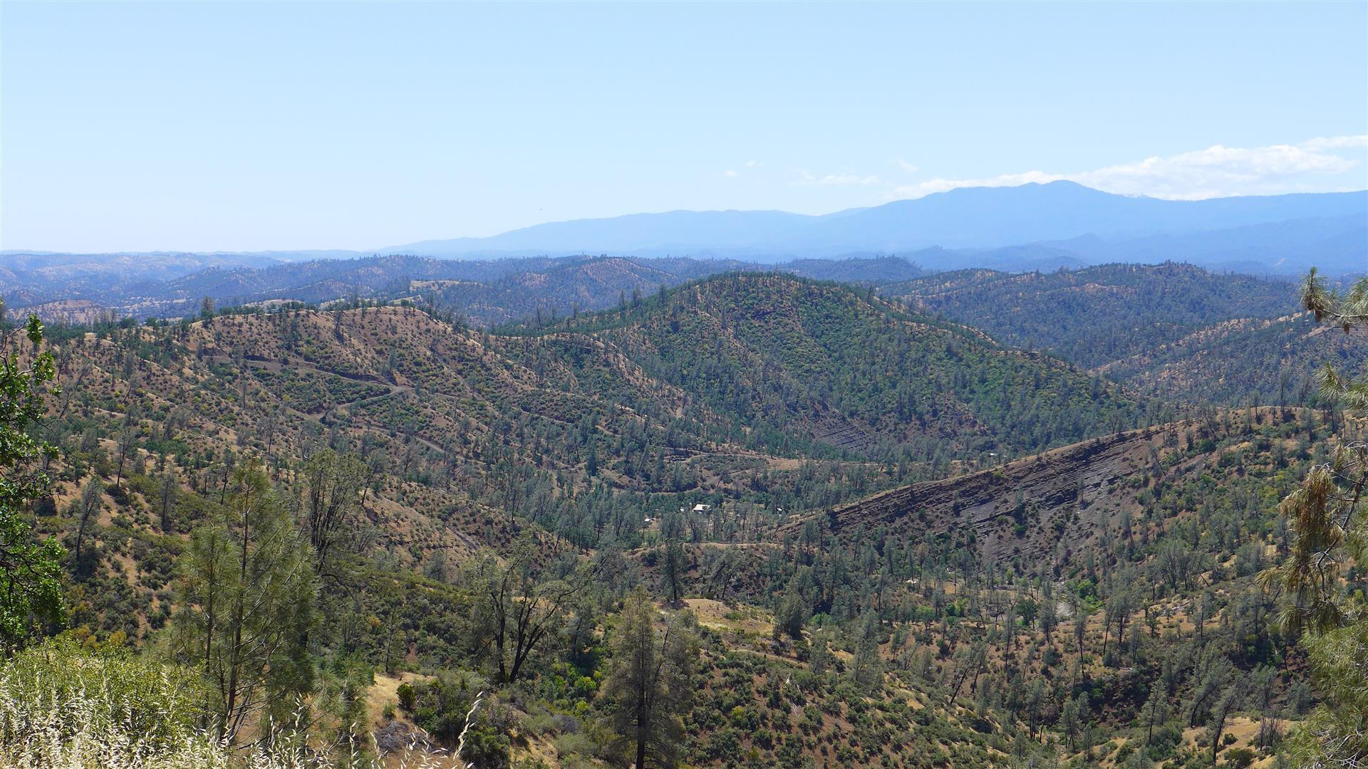 Lot 229 Yolla Bolly Road Igo, CA 96047 - Photo 55 of 66 P1060654