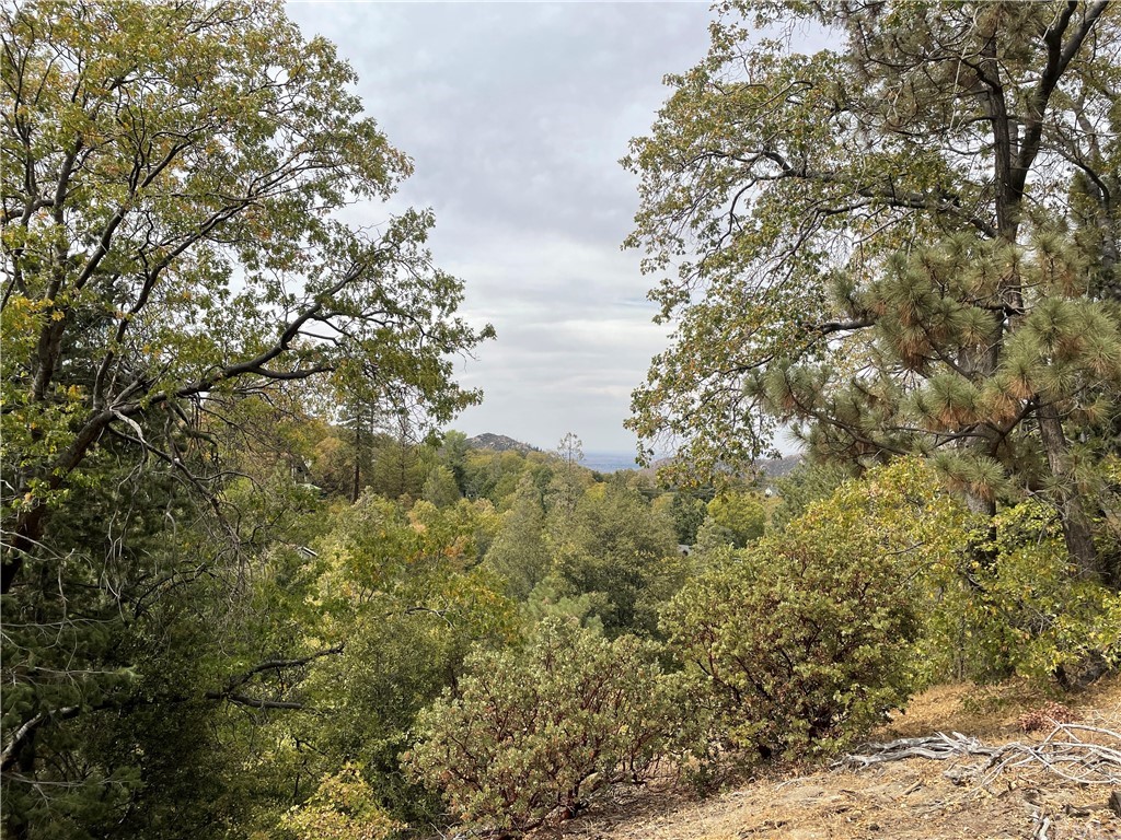 a view of a yard with a tree