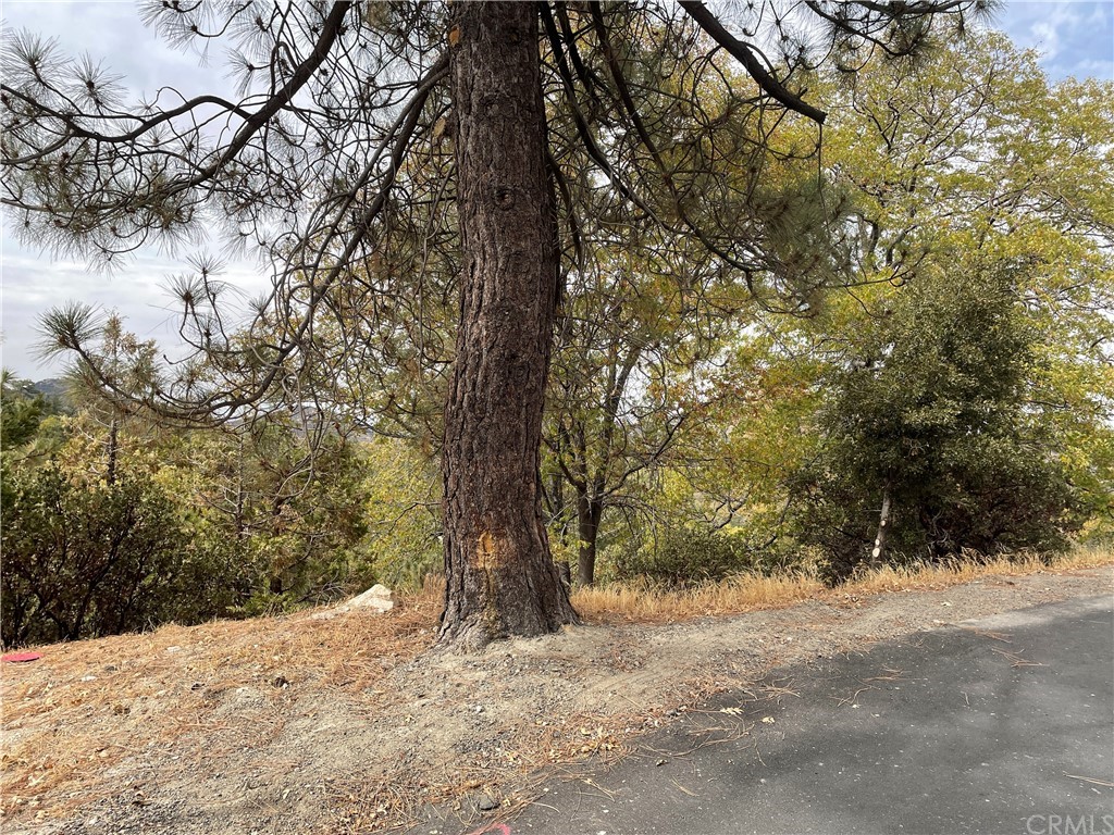 1300 Evergreen Lane Lake Arrowhead, CA 92352 - Photo 2 of 8