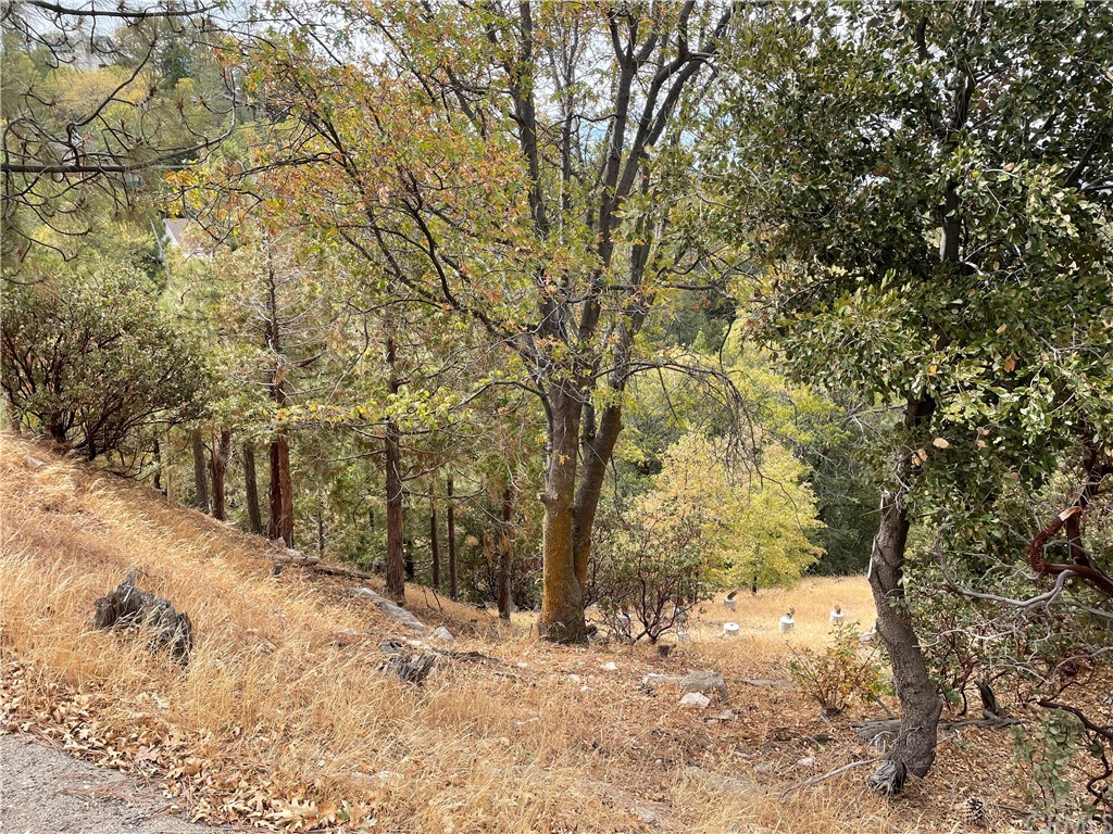 1300 Evergreen Lane Lake Arrowhead, CA 92352 - Photo 3 of 8 a view of a yard covered with snow in front of house