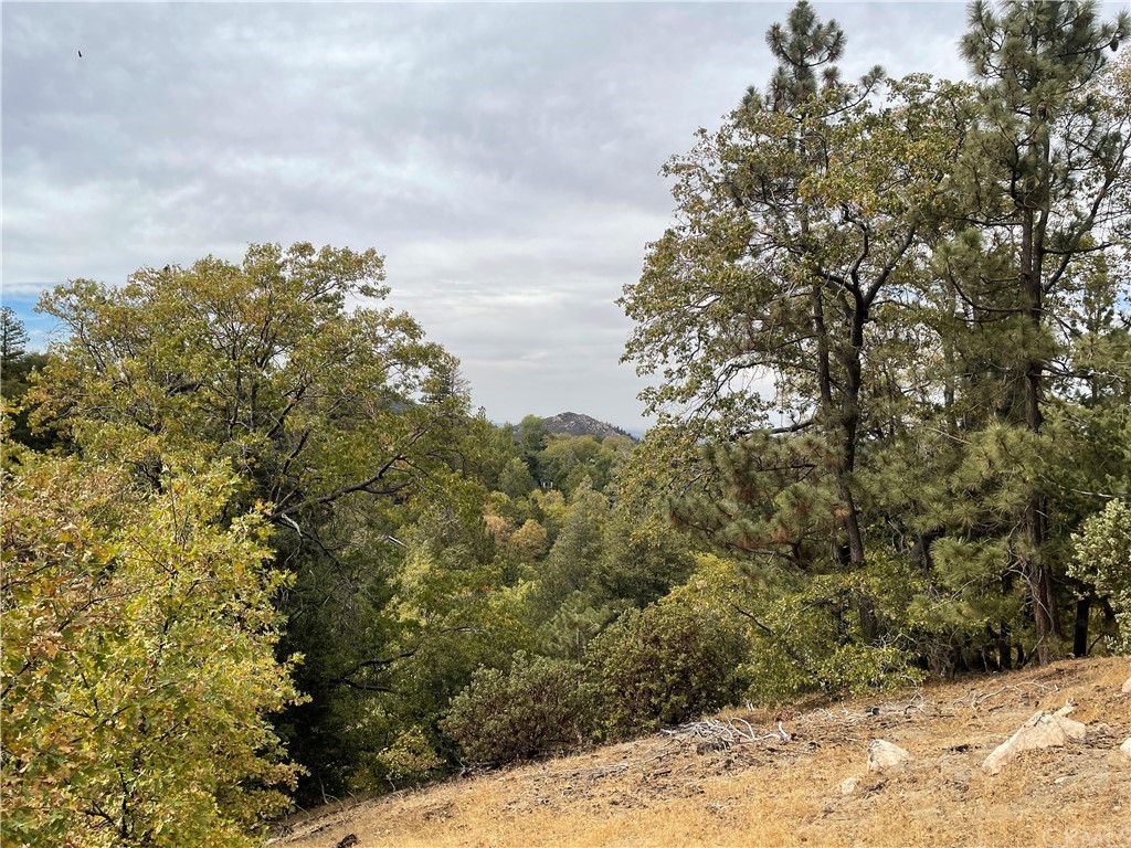 1300 Evergreen Lane Lake Arrowhead, CA 92352 - Photo 4 of 8 a view of a large yard with lots of bushes