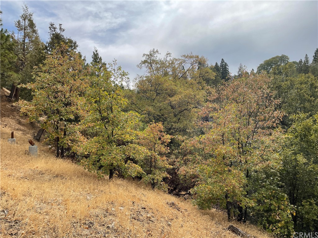 1300 Evergreen Lane Lake Arrowhead, CA 92352 - Photo 6 of 8 a view of a yard of a building