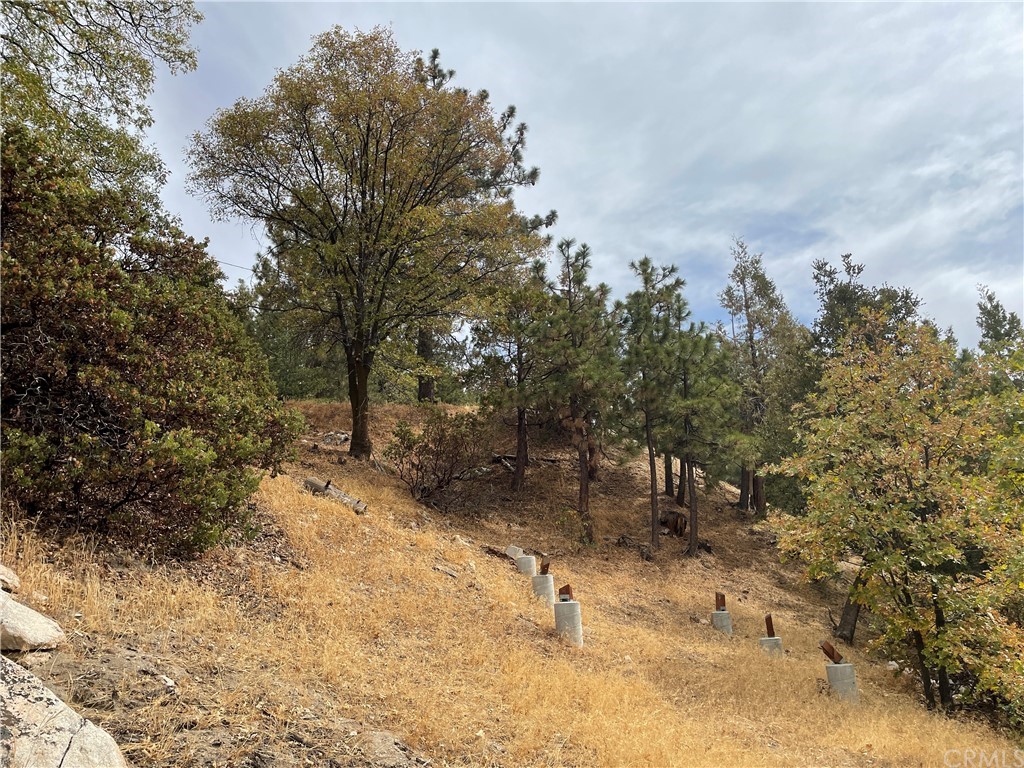 1300 Evergreen Lane Lake Arrowhead, CA 92352 - Photo 7 of 8 a view of a yard with a tree