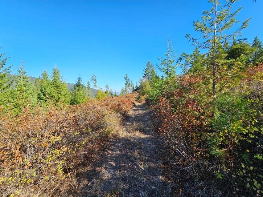 25-xx Burgess Road Addy, WA 99101 - Photo 11 of 26